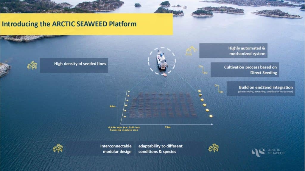 Tunley and Algapelago Collaborate to Combat Climate Change